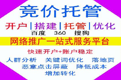 百度广告推广费用案例分析：效果与投入的平衡